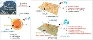 New Si-based photocatalyst enables efficient solar-driven hydrogen production and biomass refinery 2