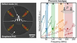 New skills of Graphene: Tunable lattice vibrations