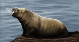 New species of extinct walrus-like mammal discovered in the North Atlantic