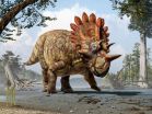 New species of horned dinosaur with 'bizarre' features revealed 2