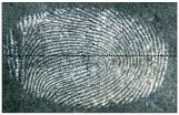 New strategy for fingerprint visualization developed at Hebrew University 