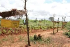 New study confirms beehive fences as highly effective in reducing human-elephant conflict, but researchers warn of future risks 2