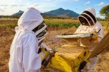 New study confirms beehive fences as highly effective in reducing human-elephant conflict, but researchers warn of future risks 3