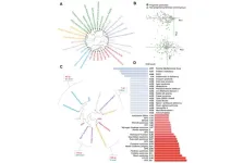 New study: Defining the progeria phenome