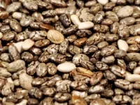 New study eyes nutrition-rich chia seed for potential to improve human health