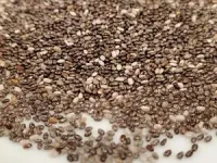 New study eyes nutrition-rich chia seed for potential to improve human health 2