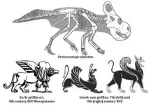 New study finds dinosaur fossils did not inspire the mythological griffin 2