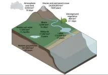 New study from Chapman University reveals rapid return of water from ground to atmosphere through plants