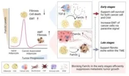 New study reveals critical role of FAM3c in breast cancer progression 2