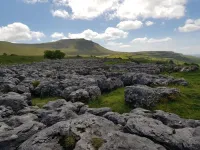 New study reveals half a century of change on Britain’s iconic limestone pavements