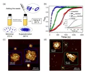 New study reveals key to sustainable, eco-friendly next-generation polymers for various uses