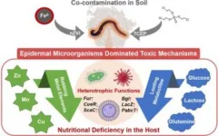 New study reveals the impact of skin microorganisms on earthworm toxicity in polluted environments