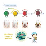 New Study Shows 24-72 Hours of Poor Oral Hygiene Impacts Oral Health