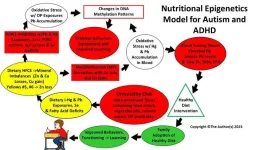 New study shows nutritional epigenetics education improves diet and attitude in parents of children with autism and ADHD