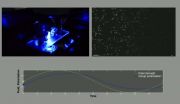 New study shows the dynamics of active swarms in alternating fields