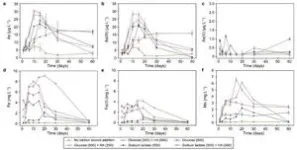 New study uncovers potential risk of arsenic release from sediment under organic matter influence 2