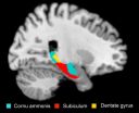 New target structure for antidepressants on the horizon?