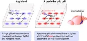 New technique prints metal oxide thin film circuits at room temperature 2