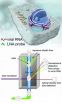 New technique tracks viral infections, aids development of antiviral drugs