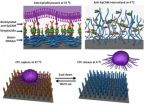 New technology allows scientists to capture and preserve cancer cells circulating in the bloodstream