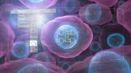 New technology enables predictive design of engineered human cells