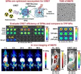 New theranostic approach joins radiopharmaceuticals and nanoparticles to kill cancer cells