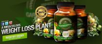 New Time-Limited Miracle Garcinia Cambogia Offers Are Now Available: miraclegarciniacambogia.com Announces Fresh Discounts Applicable to Limited In-Stock Supplies