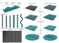 New tool for organ repair: Curvature of the environment 2