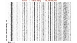 New tool helps scientists spot patterns in mountains of data