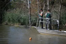 New tool shows progress in fighting spread of invasive grass carp in Great Lakes