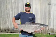 New tool shows progress in fighting spread of invasive grass carp in Great Lakes 3