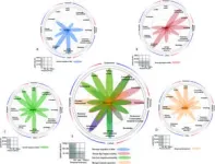 New tool to enable exploration of human-environment interactions 3