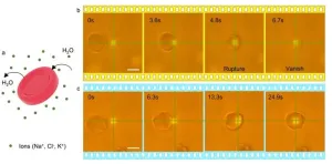 New twist on optical tweezers