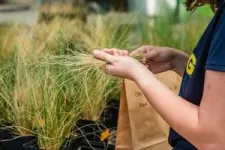 New UNCG research will help better predict the health  and sustainability of ‘grassy’ ecosystems 2