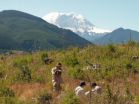 New view of Rainier's volcanic plumbing 2