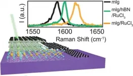 New way to control electrical charge in 2D materials: Put a flake on it