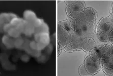 Newly designed nanomaterial shows promise as antimicrobial agent