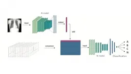 Newly developed AI uses combination of ECG and X-ray results to diagnose arrhythmic disorders