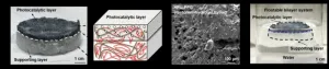 Newly developed hydrogel nanocomposite for the mass production of hydrogen