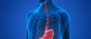 Newly discovered RNA molecules hold promise for detecting and treating esophageal cancer