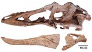 Newly found dinosaur is long-nosed cousin of Tyrannosaurus rex 2