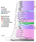 Next time you beat a virus, thank your microbial ancestors 2