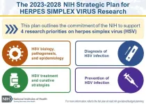 NIH releases strategic plan for research on herpes simplex virus 1 and 2