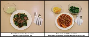 NIH study compares low-fat, plant-based diet to low-carb, animal-based diet