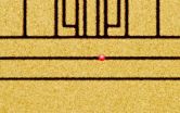 NIST achieves record-low error rate for quantum information processing with one qubit