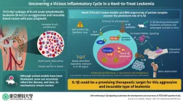 Nitrogen-rich porous aromatic framework cathode for wide-temperature sodium-organic batteries