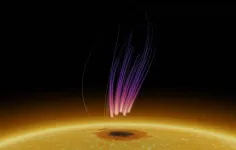 NJIT scientists uncover aurora-like radio emission above a sunspot