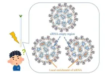 NMR-guided optimization of lipid nanoparticles for enhanced siRNA delivery