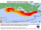 NOAA, EPA-supported scientists find average but large Gulf dead zone