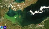 NOAA, partners predict significant harmful algal bloom in western Lake Erie this summer